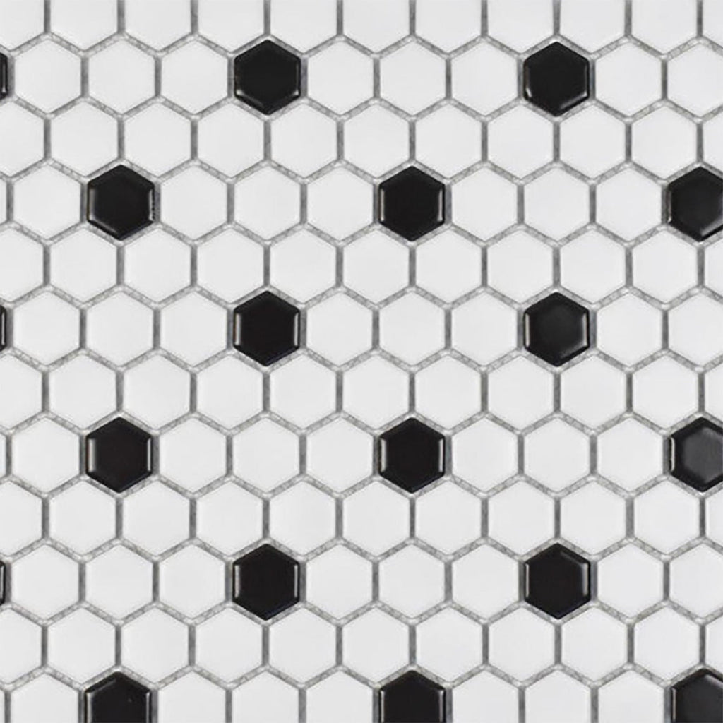 Black, White Matte 1 Inch Hexagon Porcelain Mosaic