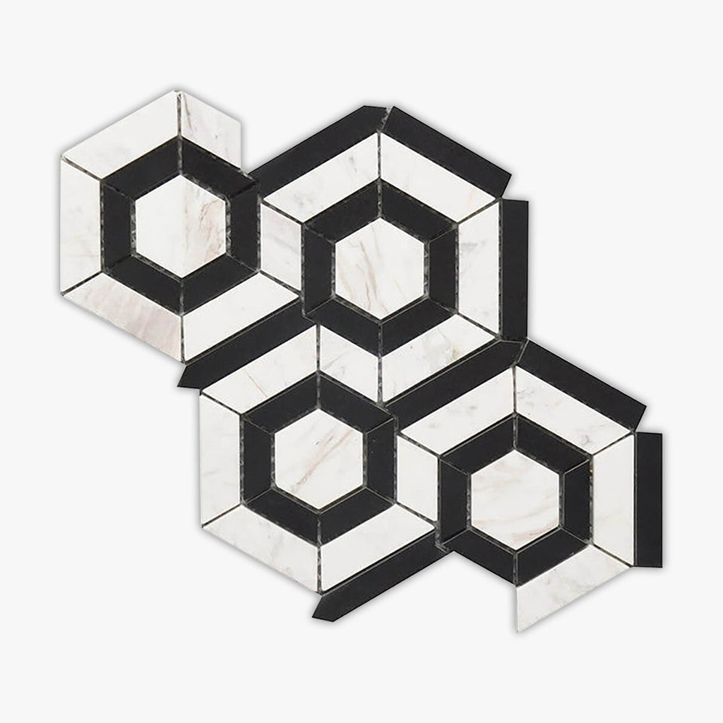 Black & White Polished Hexagon Marble Mosaic